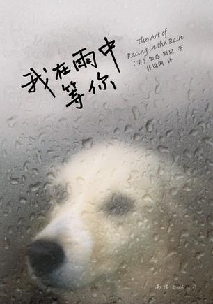 我在雨中等你